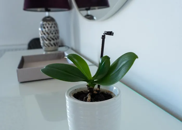 11pietro Appartement *