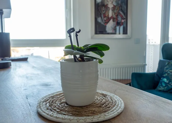 Appartement 11pietro *