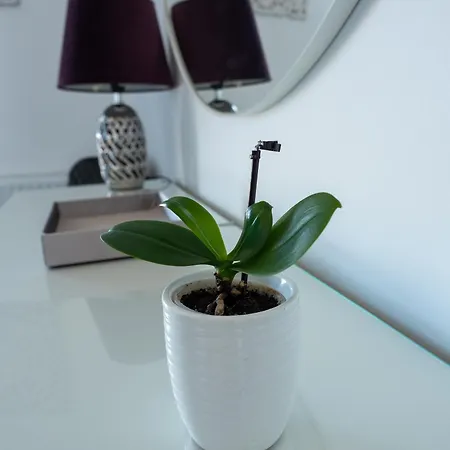 11pietro Apartment *
